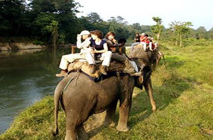 Elephant Ride in ronakpur