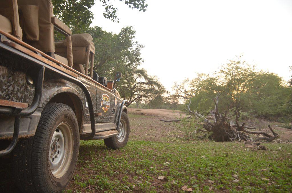 Ronakpur Jungle Safari